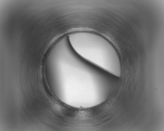 X0000065230111200602170938