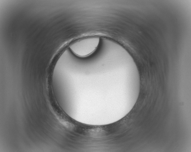 X0000065230112200602170938