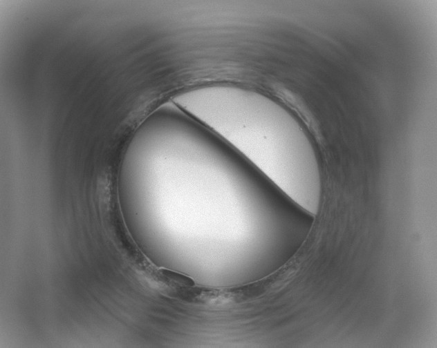 X0000065230113200602170938