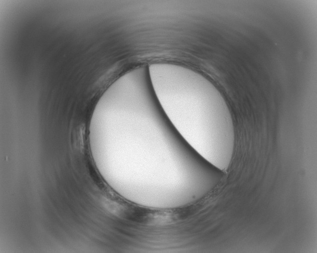 X0000065230118200602170938