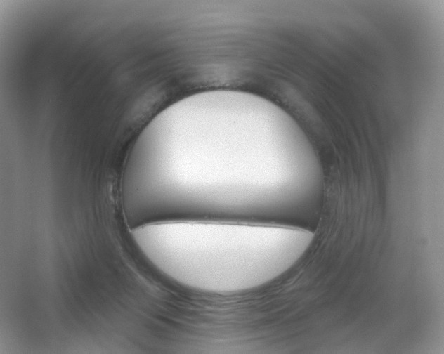 X0000065230119200602170938