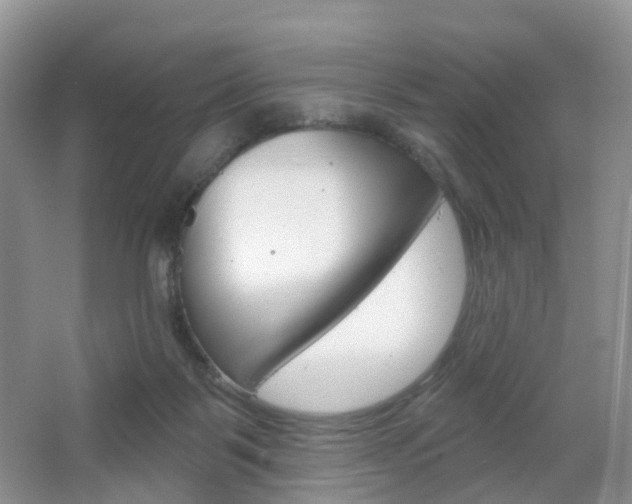 X0000065230123200602170938