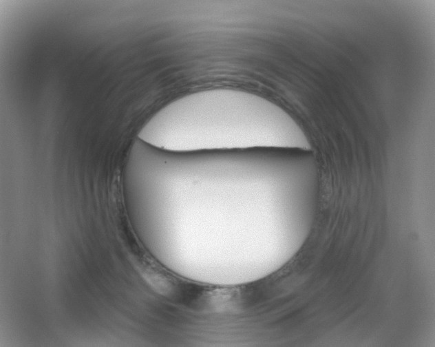 X0000065230126200602170938