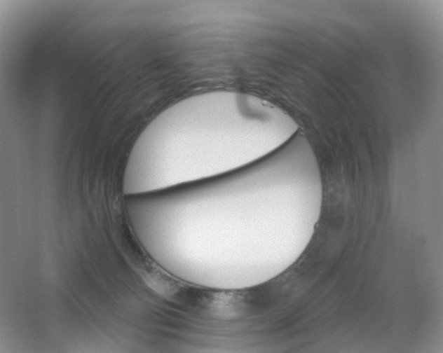 X0000065230130200602170938