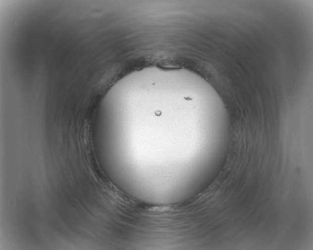 X0000065230133200602170938