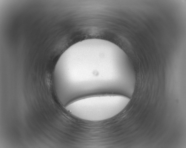 X0000065230135200602170938