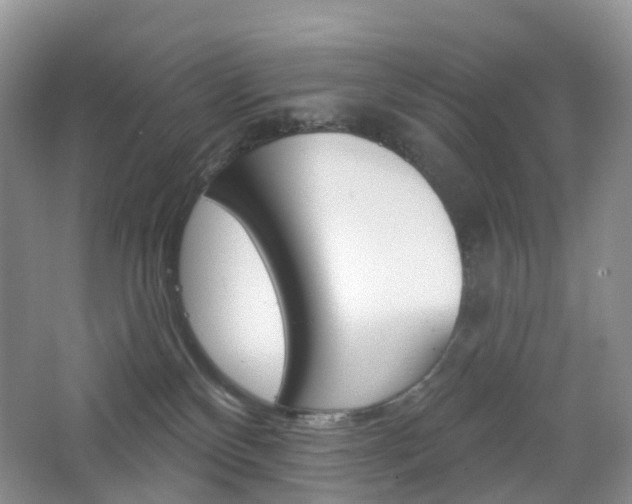 X0000065230136200602170938