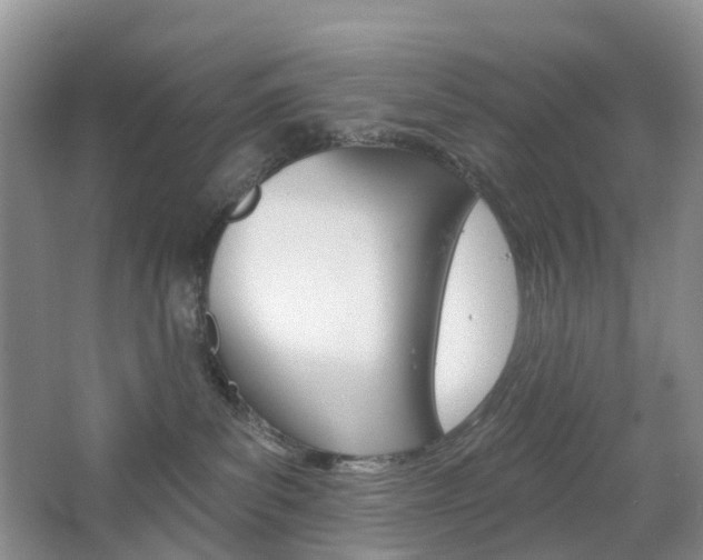 X0000065230139200602170938