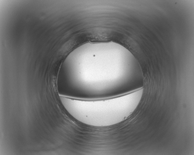 X0000065230141200602170938