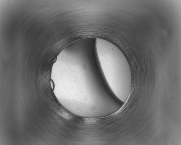 X0000065230144200602170938
