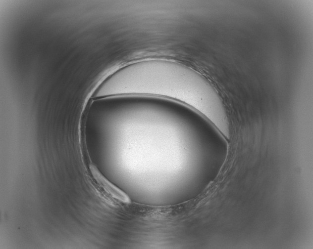 X0000065230148200602170937