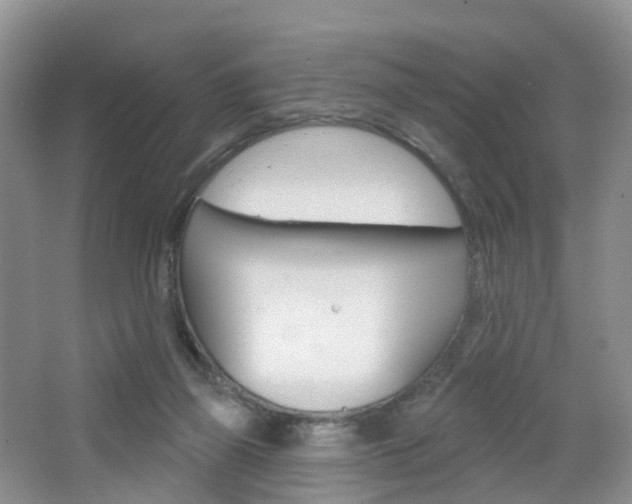 X0000065230165200602170937