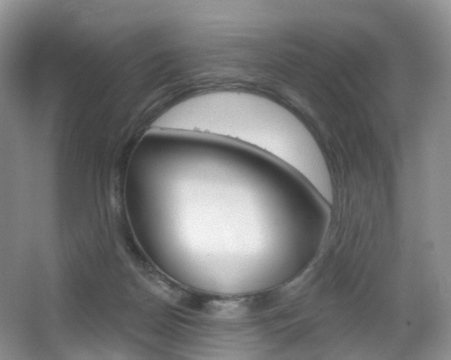 X0000065230170200602170937