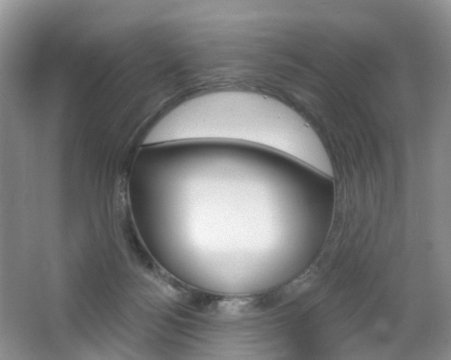 X0000065230172200602170937