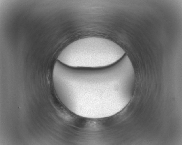 X0000065230174200602170937