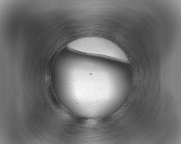 X0000065230176200602170937