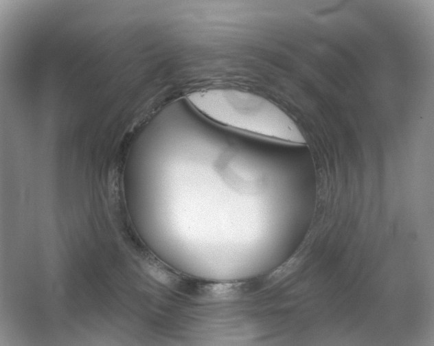 X0000065230184200602170938