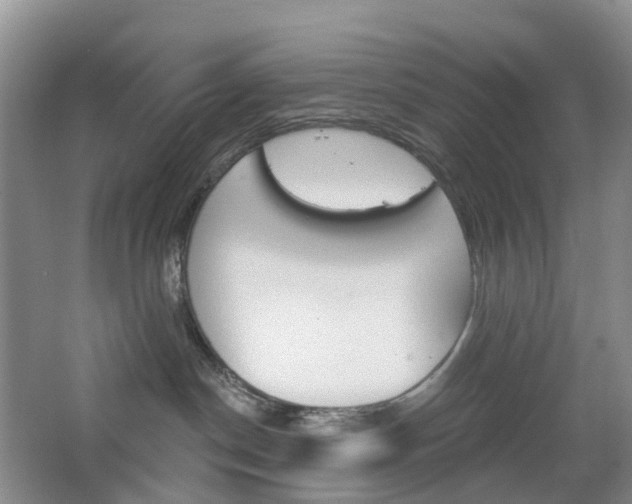 X0000065230190200602170938