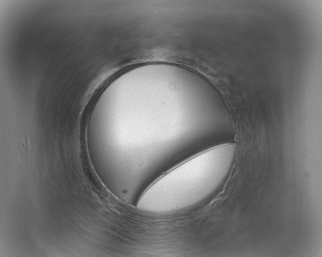 X0000065230200200602170937