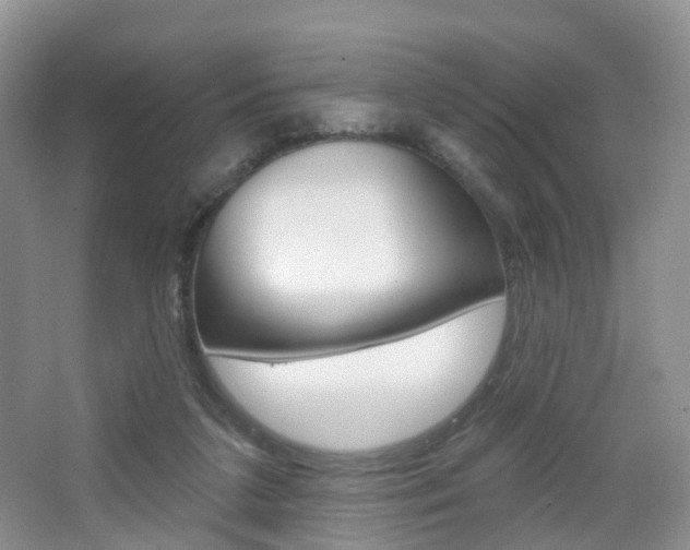 X0000065230211200602170937