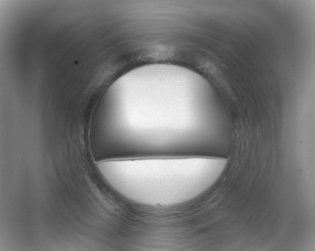 X0000065230212200602170937