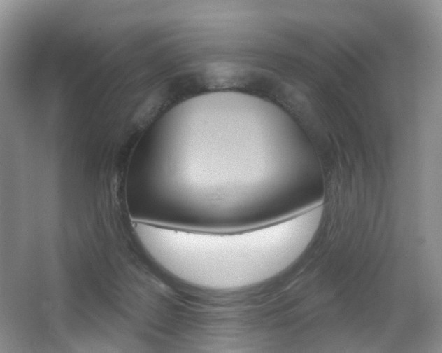 X0000065230219200602170936