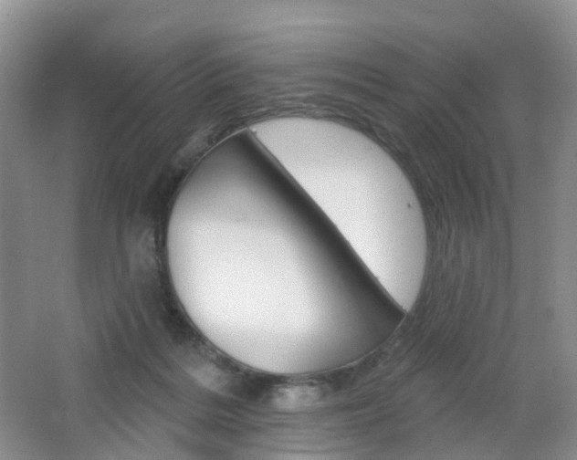 X0000065230220200602170936