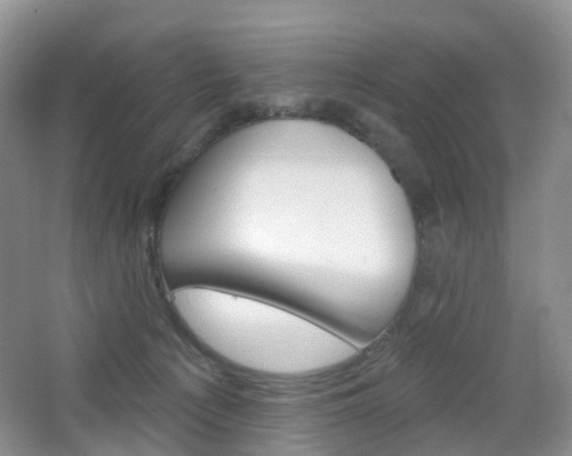X0000065230225200602170936