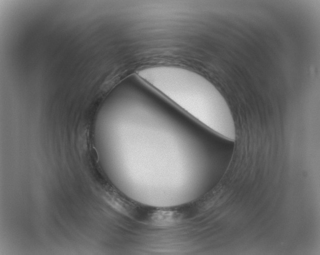 X0000065230227200602170936