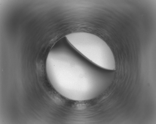 X0000065230228200602170936
