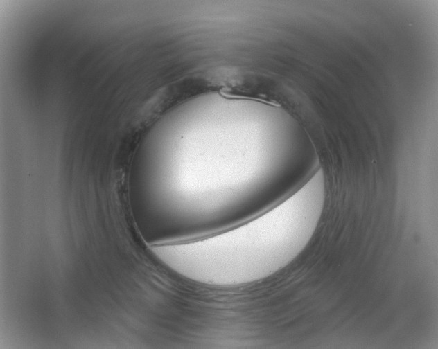 X0000065230229200602170936