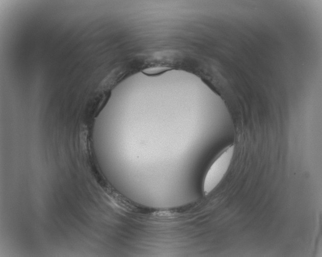 X0000065230231200602170936