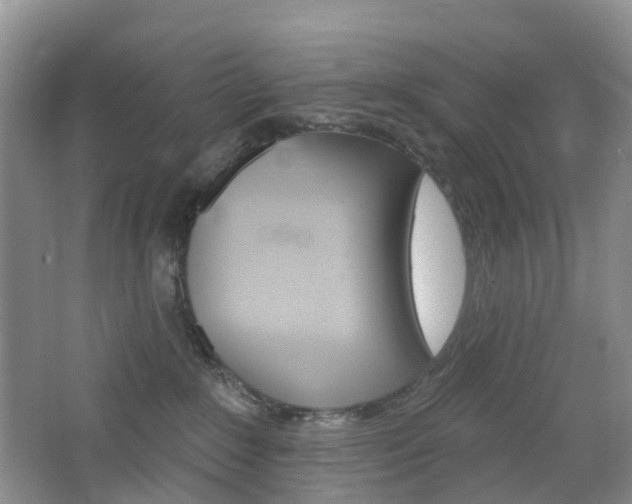 X0000065230235200602170936