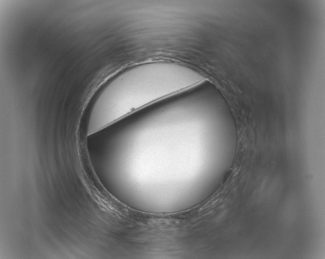 X0000065230242200602170935