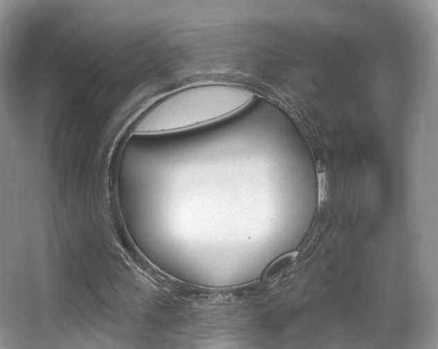 X0000065230243200602170935