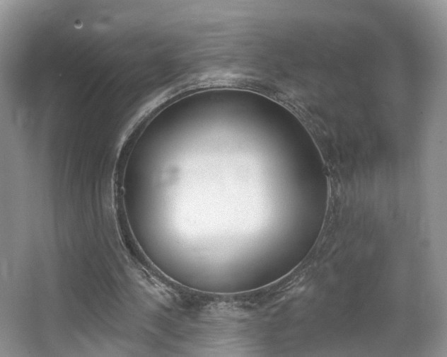 X0000065230244200602170935