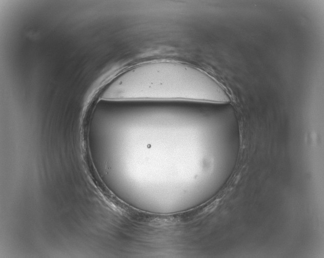 X0000065230245200602170935