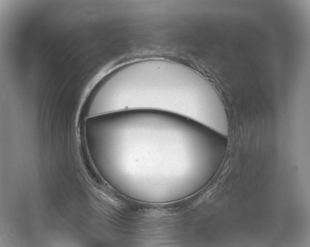 X0000065230246200602170935
