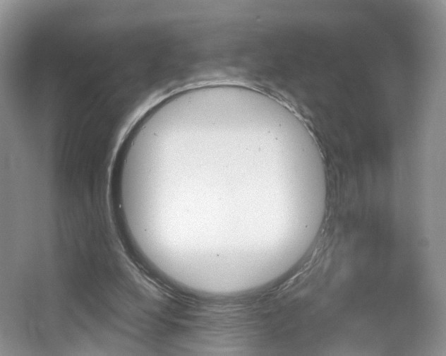 X0000065230248200602170935