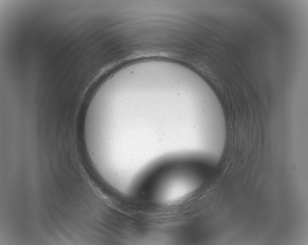 X0000065230256200602170935