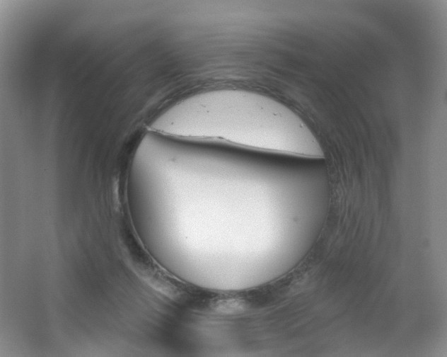 X0000065230262200602170936