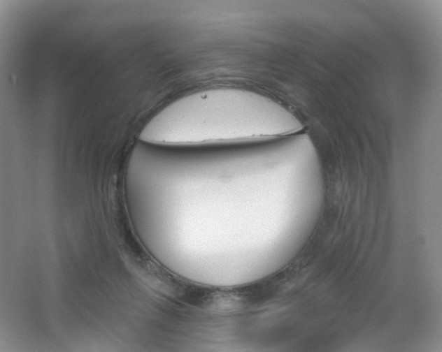 X0000065230263200602170936
