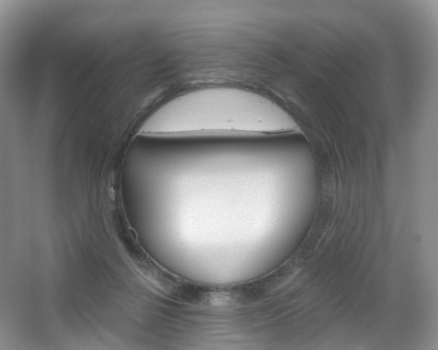 X0000065230264200602170936