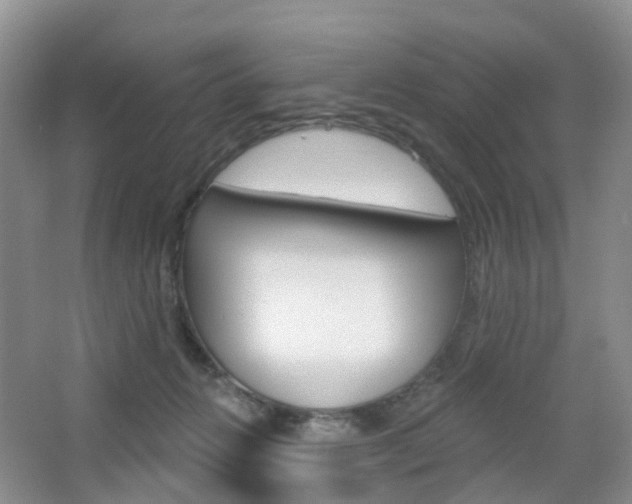 X0000065230270200602170936