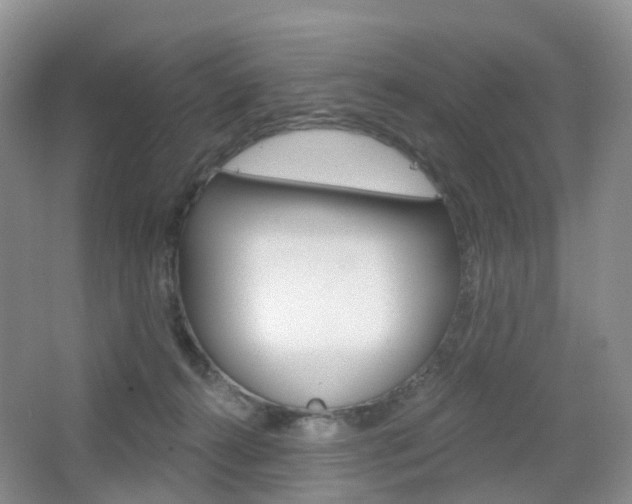 X0000065230272200602170936
