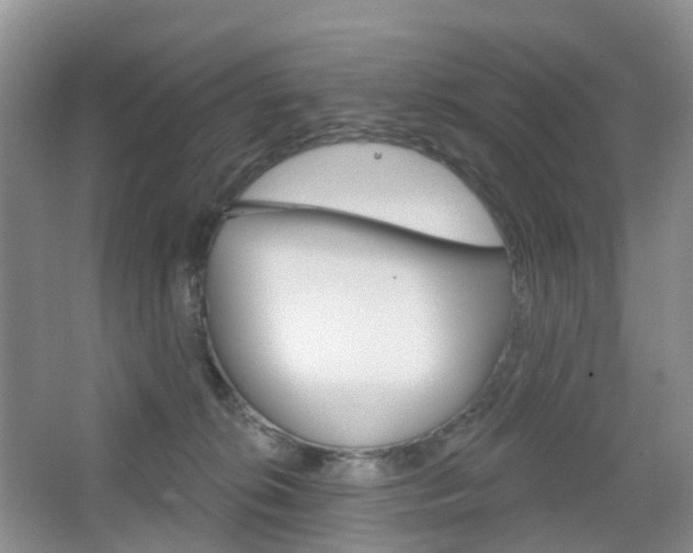 X0000065230276200602170936