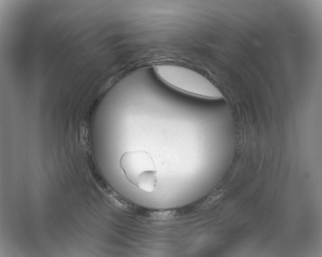 X0000065230281200602170936