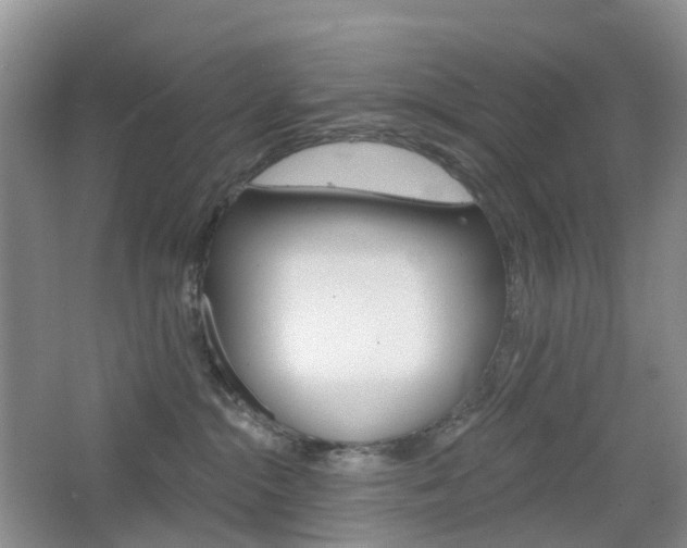 X0000065230284200602170936