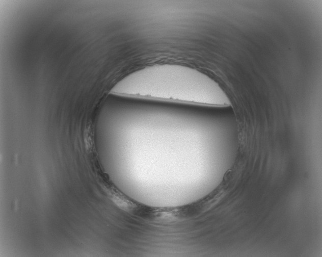 X0000065230285200602170936