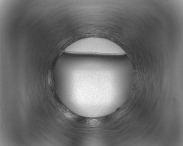 X0000065230287200602170936